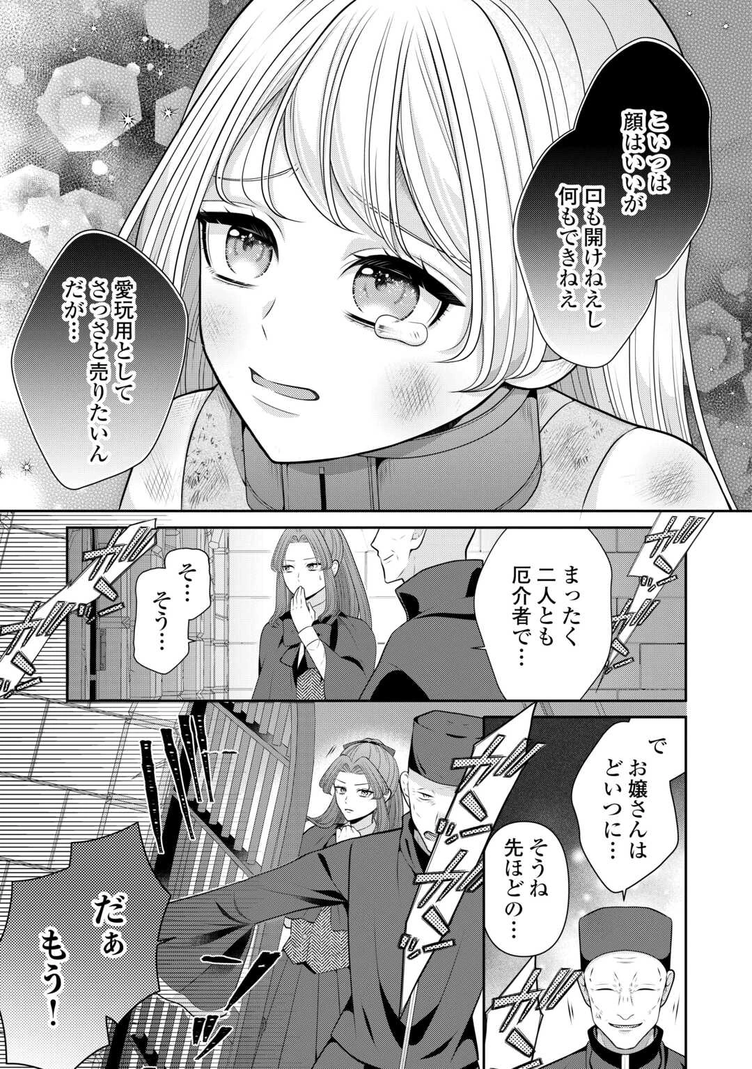 冤罪で婚約破棄された公爵令嬢は隣国へ逃亡いたします! 第1話 - 27