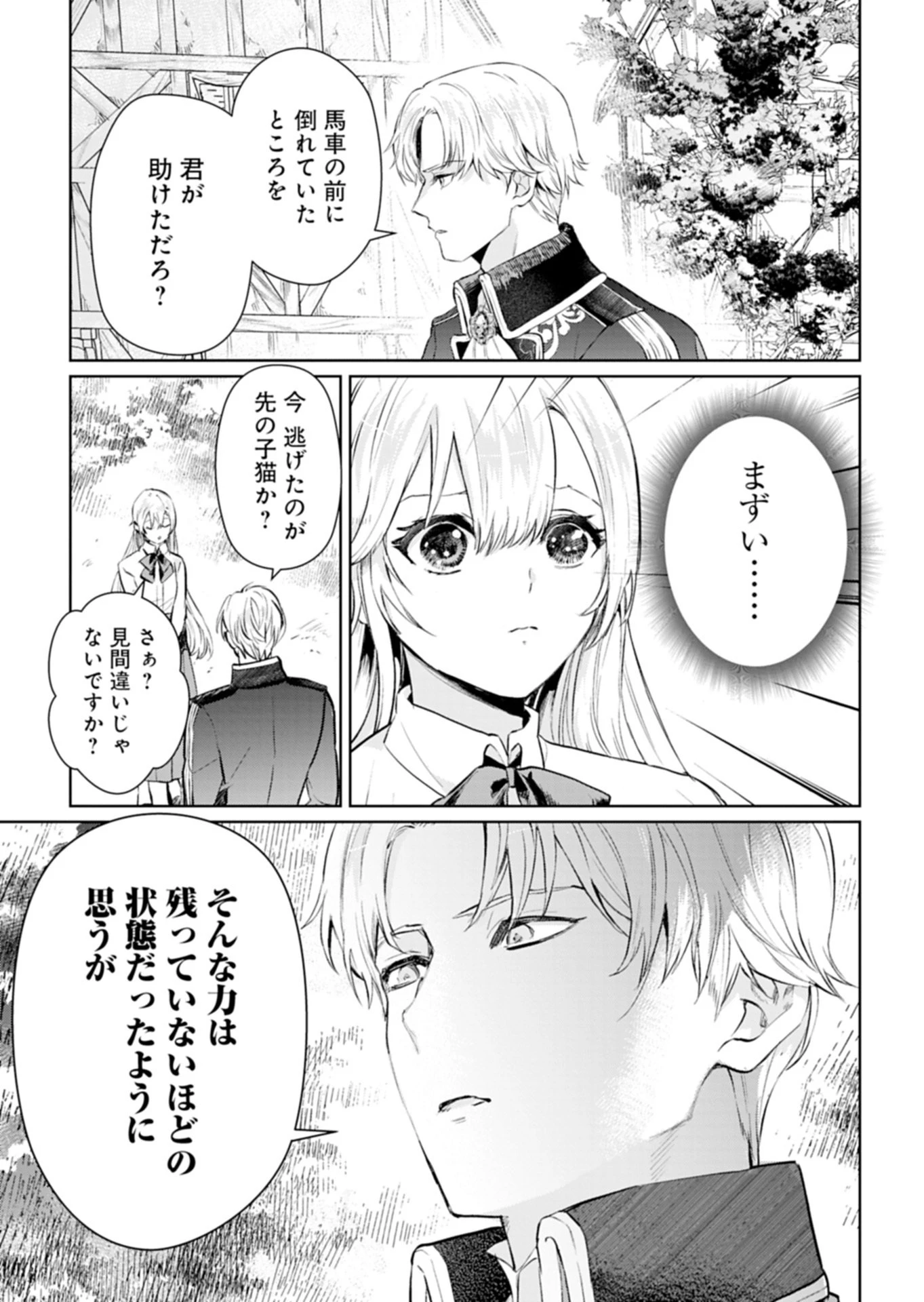 世界最強の魔力持ちは平穏に暮らしたい! 何故か王太子殿下に執着されています 第1話 - 25