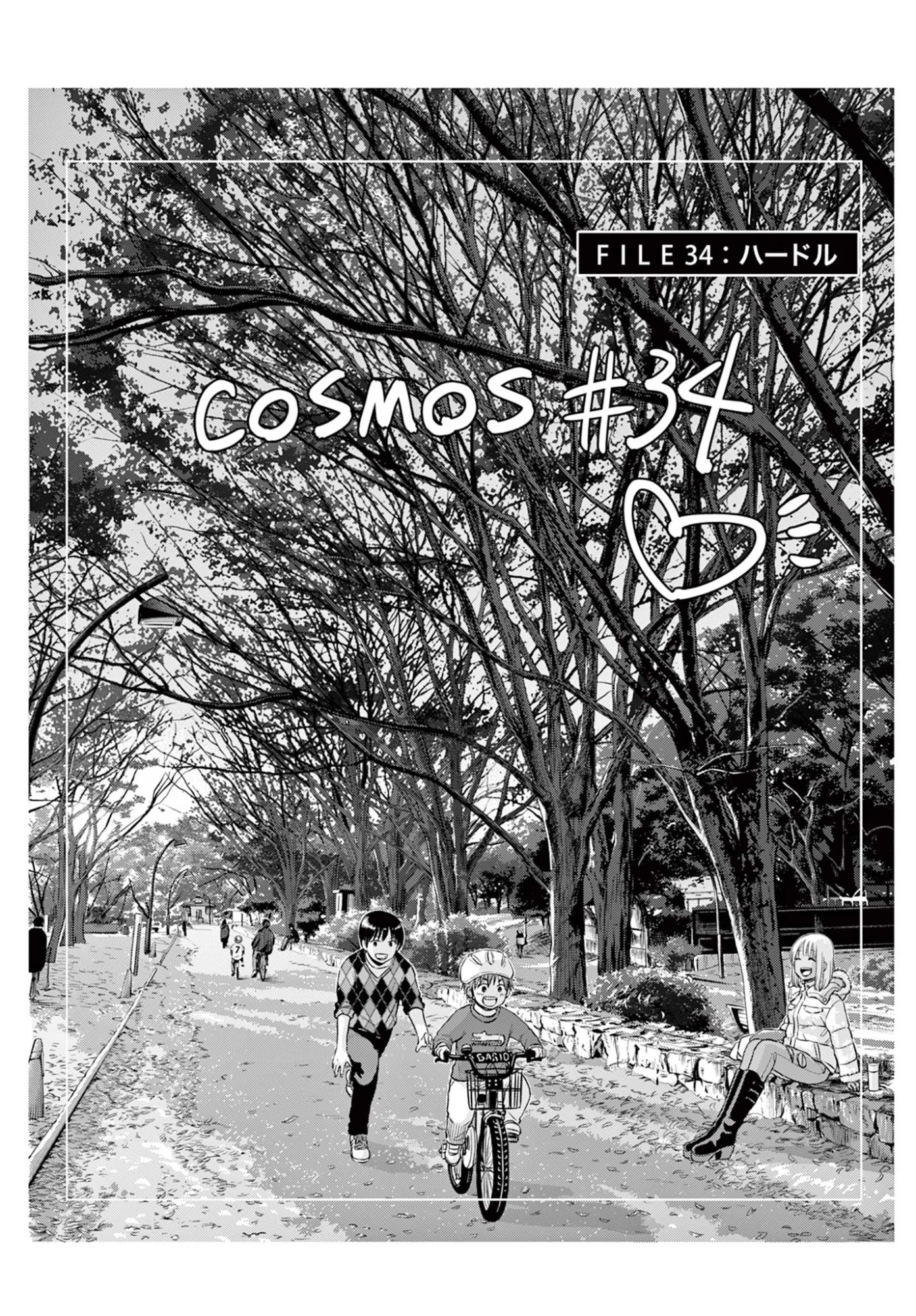 コスモス 第34話 - 1