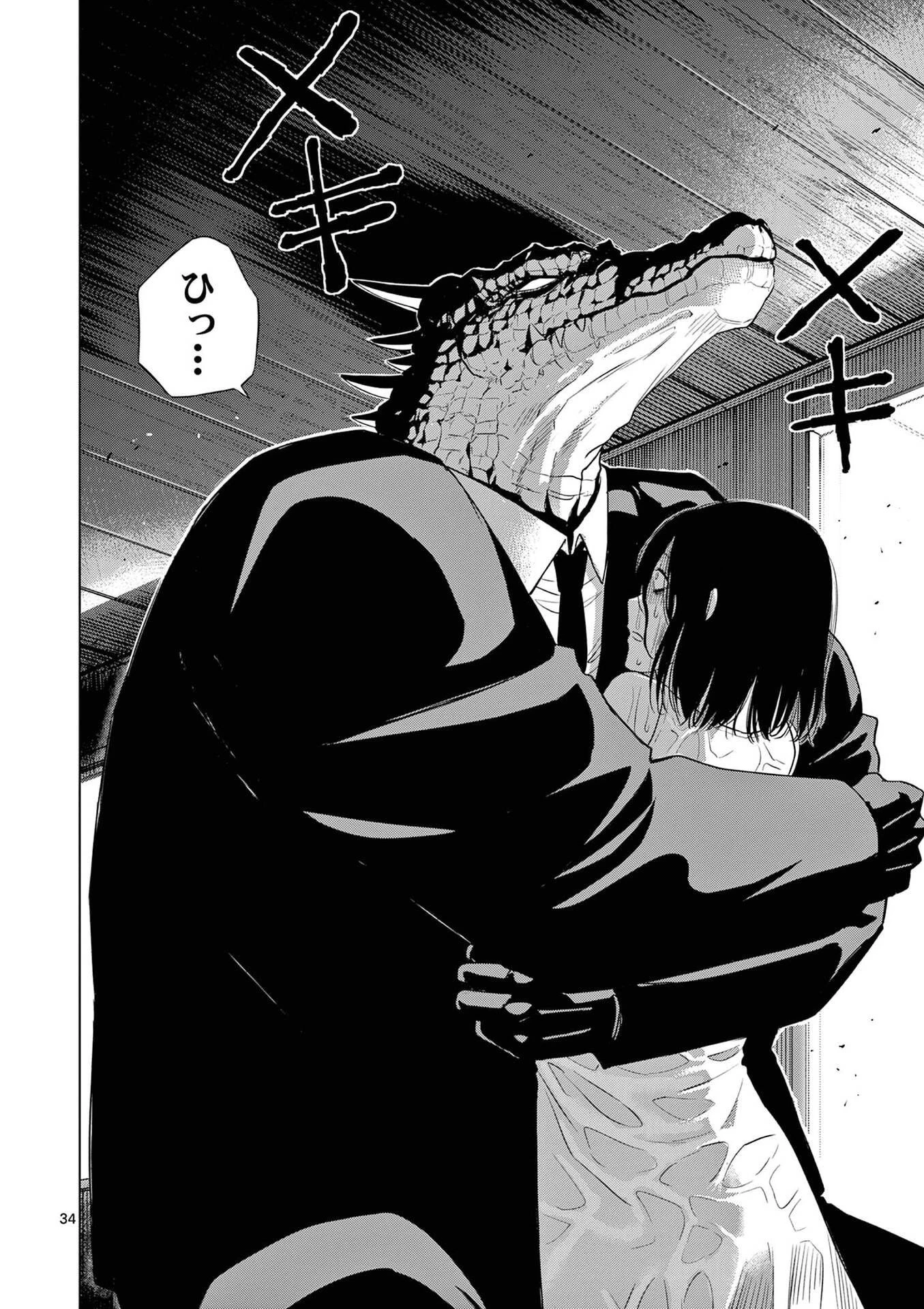 コスモス 第27話 - 34