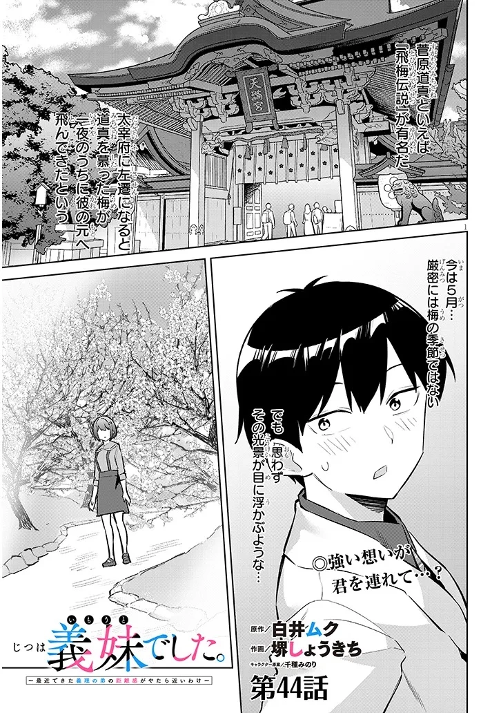 じつは義妹でした。～最近できた義理の弟の距離感がやたら近いわけ～ 第44話 - 1