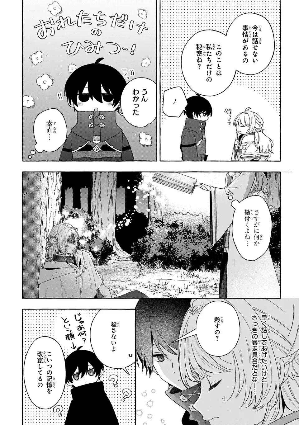 わたしの創った千年王国 天才魔導師の自由気ままな転生無双譚 第10話 - 10