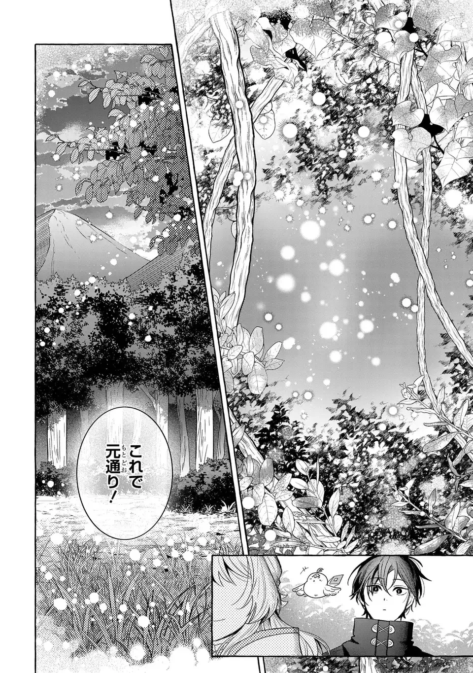 わたしの創った千年王国 天才魔導師の自由気ままな転生無双譚 第10話 - 14