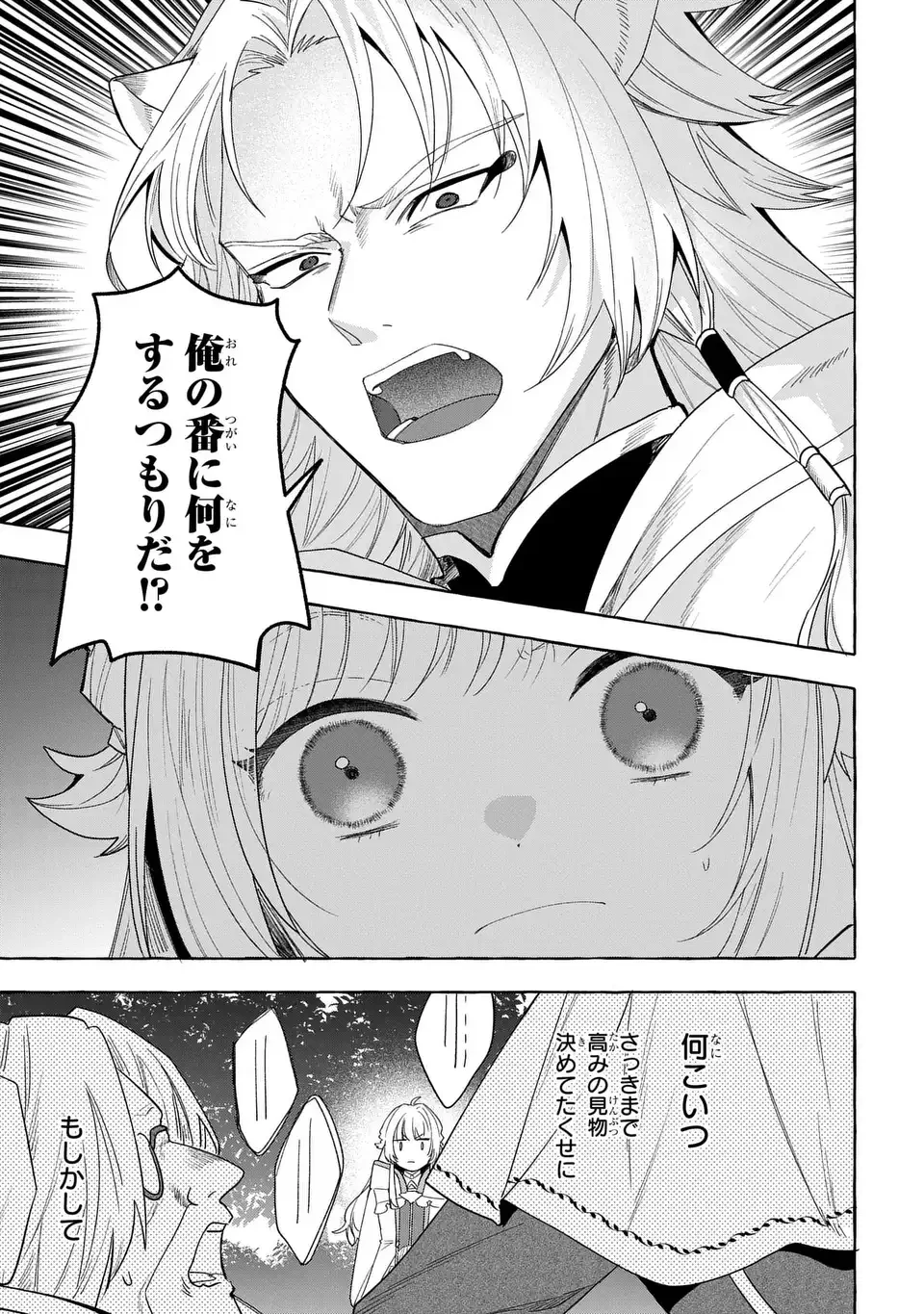 わたしの創った千年王国 天才魔導師の自由気ままな転生無双譚 第9話 - 17