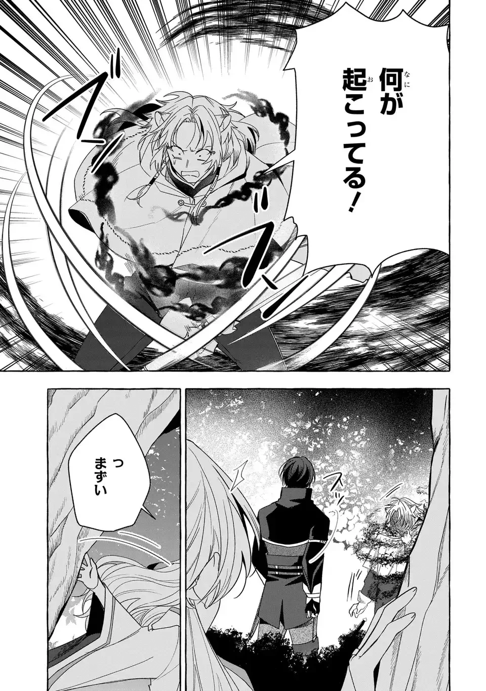 わたしの創った千年王国 天才魔導師の自由気ままな転生無双譚 第9話 - 27