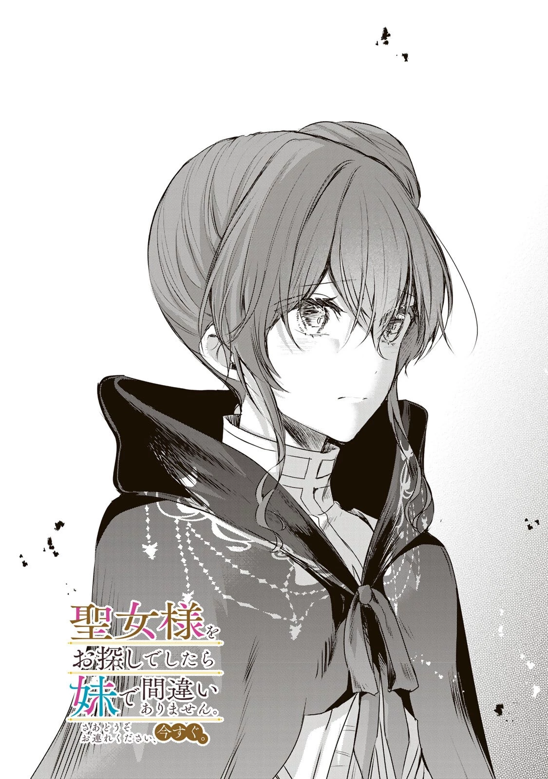 聖女様をお探しでしたら妹で間違いありません。さあどうぞお連れください、今すぐ。 第46話 - 1