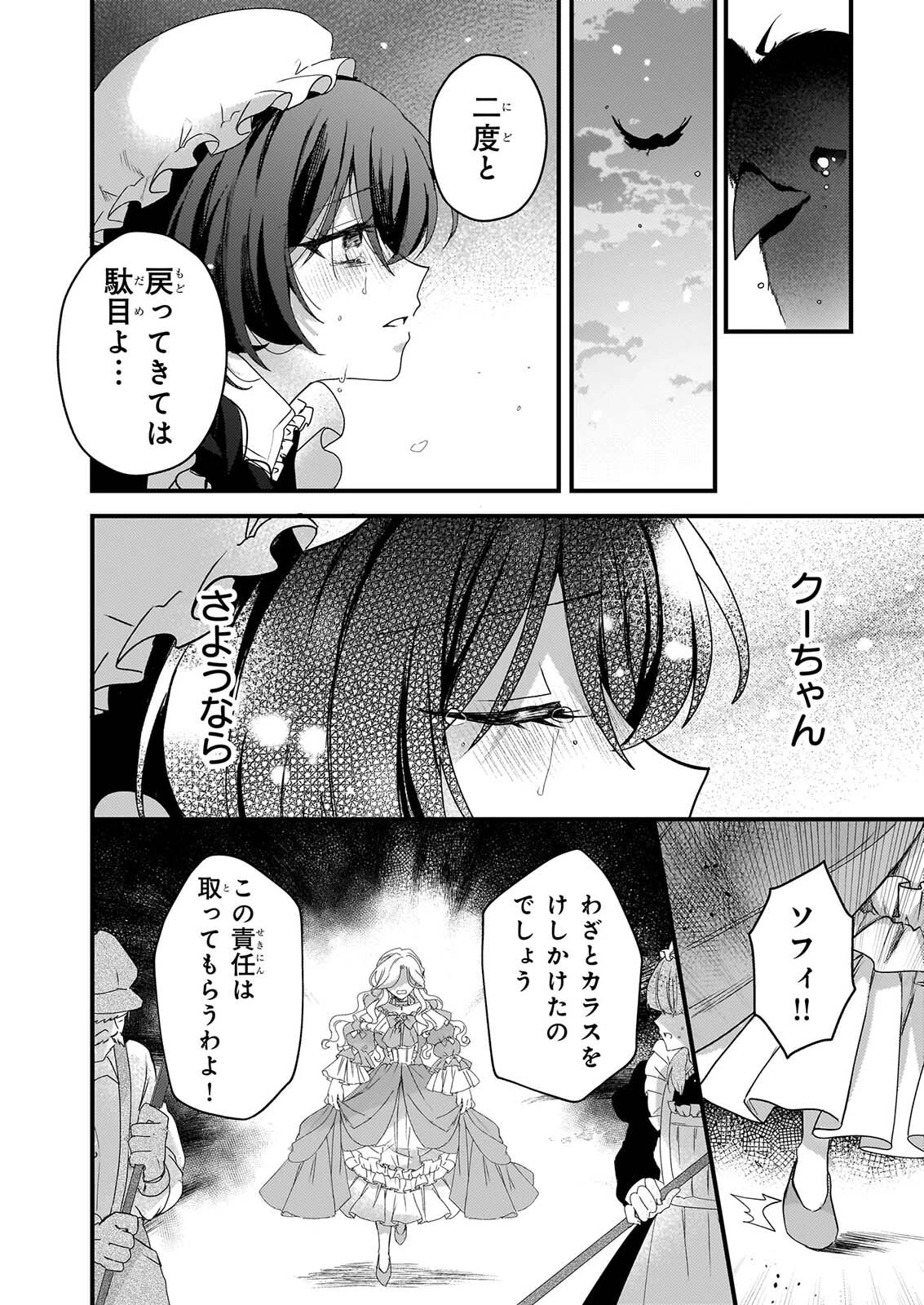 私の魔法使い 虐げられた少女は美しき王弟殿下に見初められる 第3話 - 14