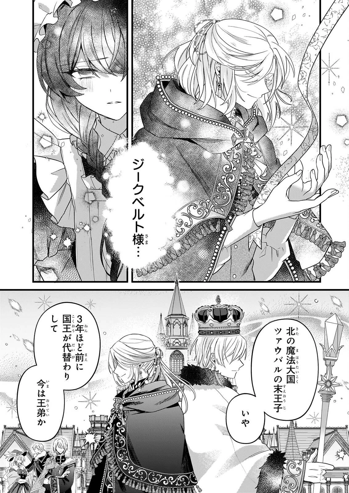 私の魔法使い 虐げられた少女は美しき王弟殿下に見初められる 第2話 - 10