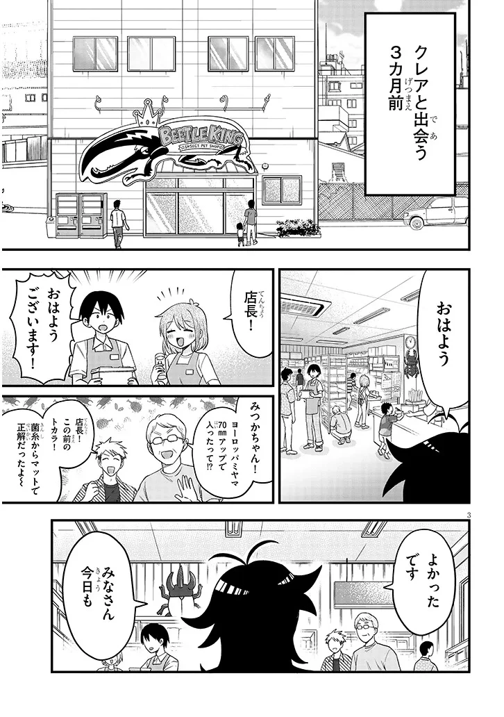 クレアちゃん飼育日記―カブトムシ少女にお世話されてます― 第2話 - 3