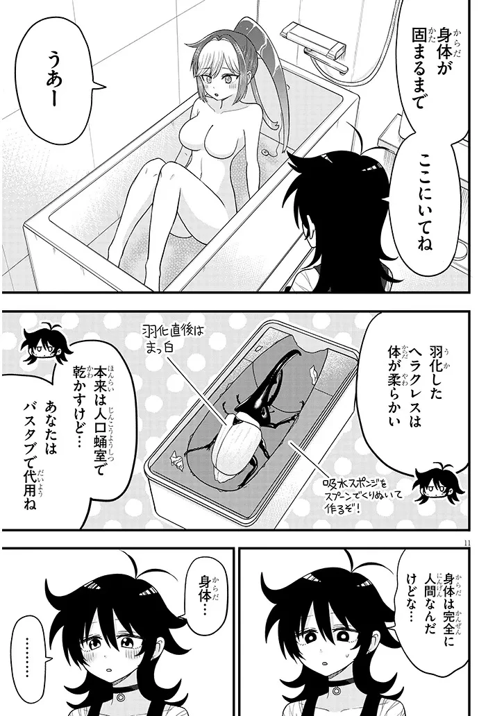 クレアちゃん飼育日記―カブトムシ少女にお世話されてます― 第2話 - 11