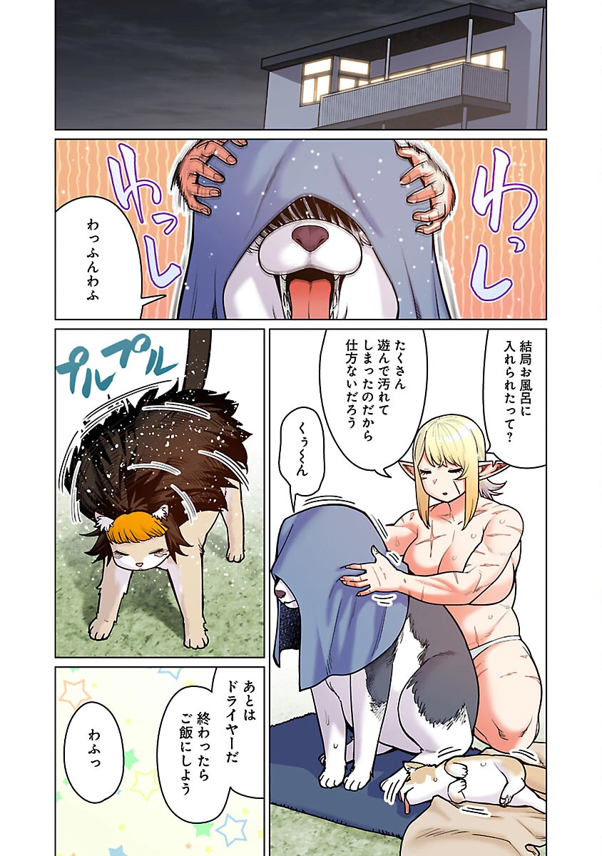 エルフさんは痩せられない。 第50話 - 19