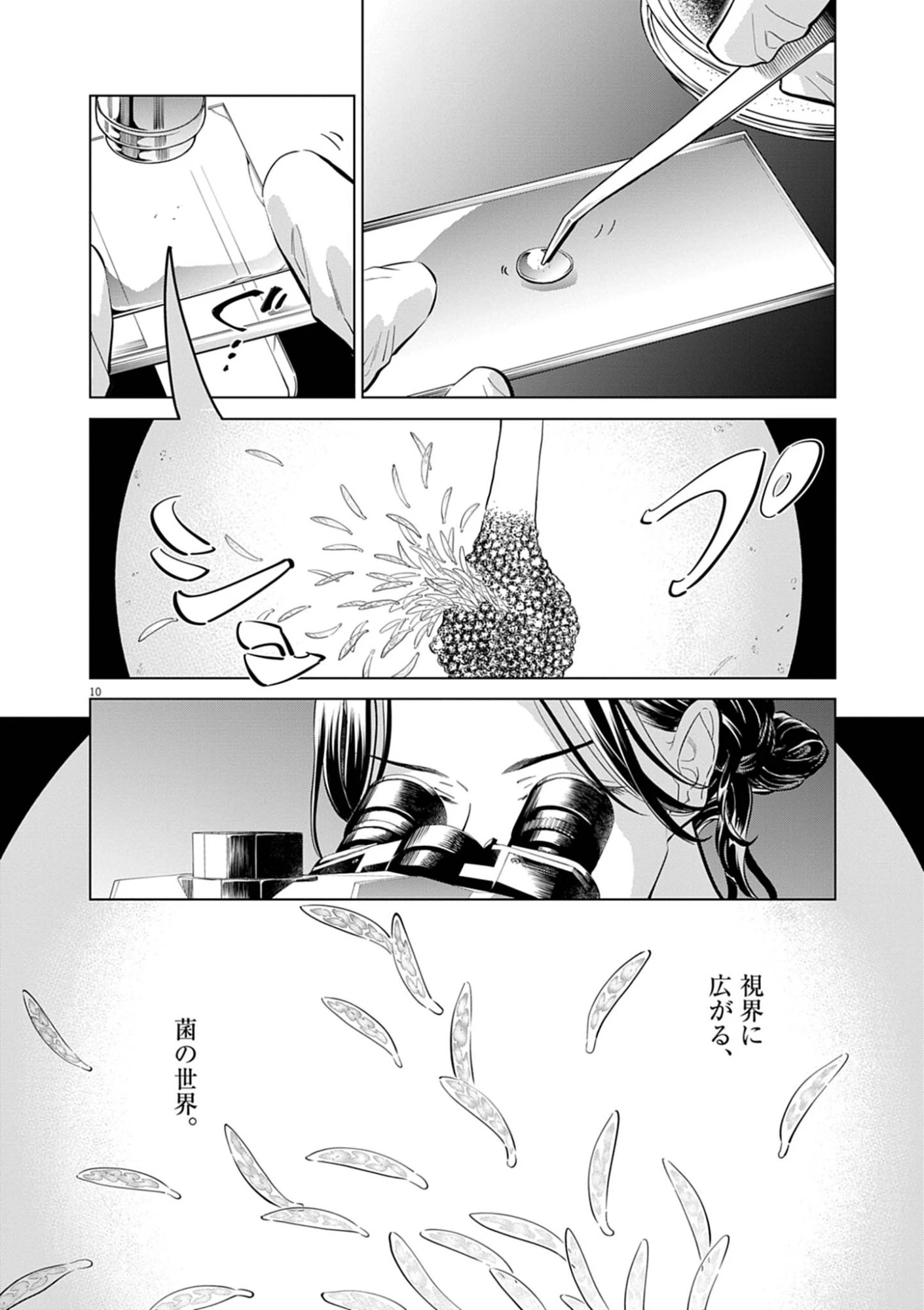 植物病理学は明日の君を願う 第42話 - 10