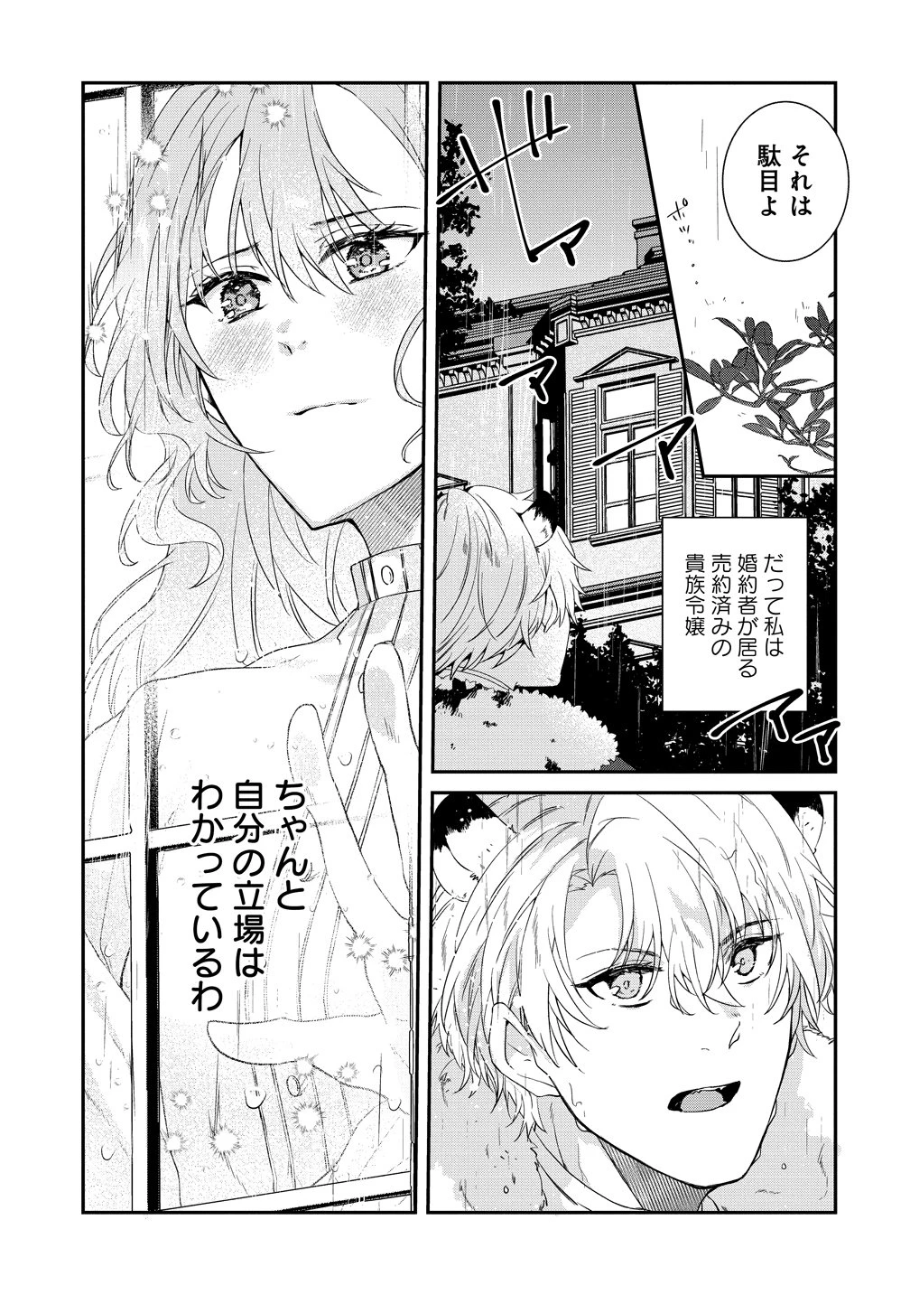 私の運命は、黙って愛を語る困った人で目を離せない。～もふもふな雪豹騎士にまっしぐらに溺愛されました～ 第1話 - 9