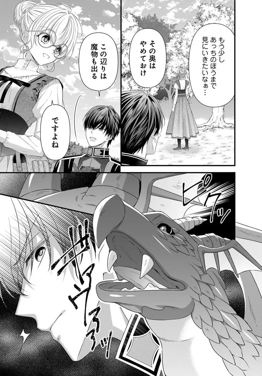 王女でしたがこっそり竜騎士団の専属薬師になりました! 第10話 - 8