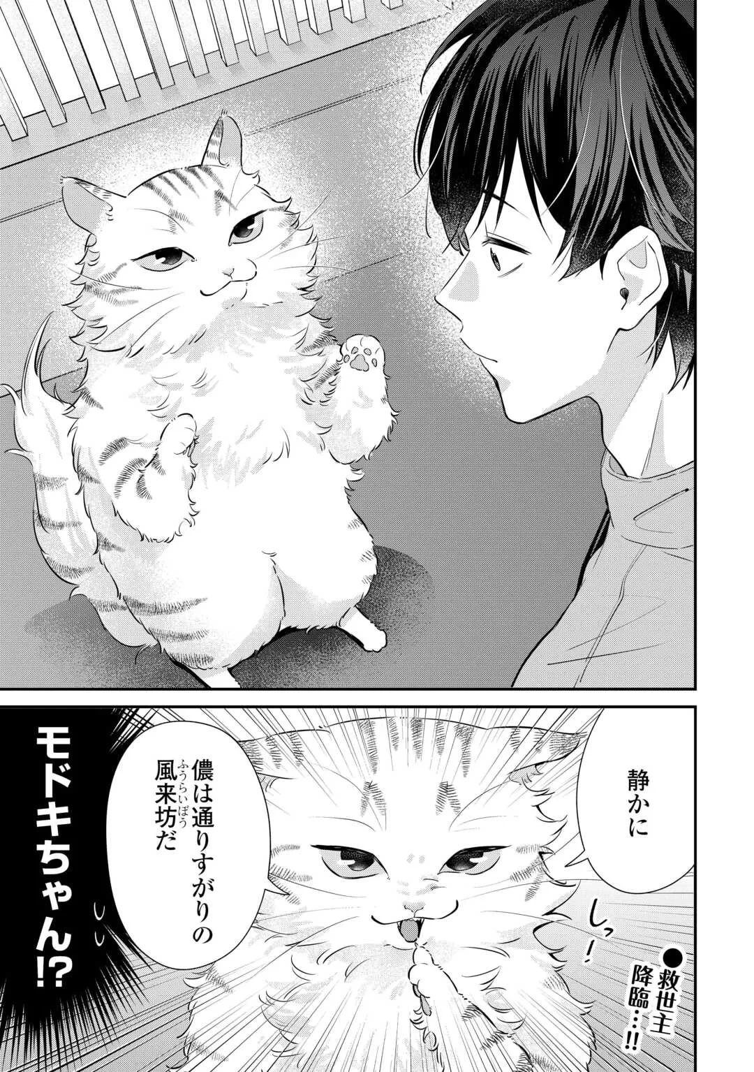 拾ったのが本当に猫かは疑わしい 第5話 - 17
