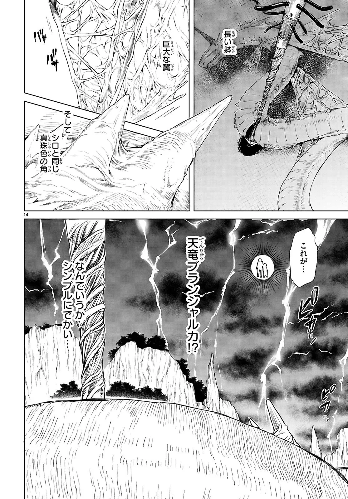 異世界でスキルを解体したらチートな嫁が増殖しました 概念交差のストラクチャー 第89話 - 14