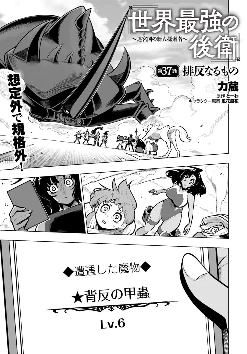 世界最強の後衛 ～迷宮国の新人探索者～ 第37話 - 1