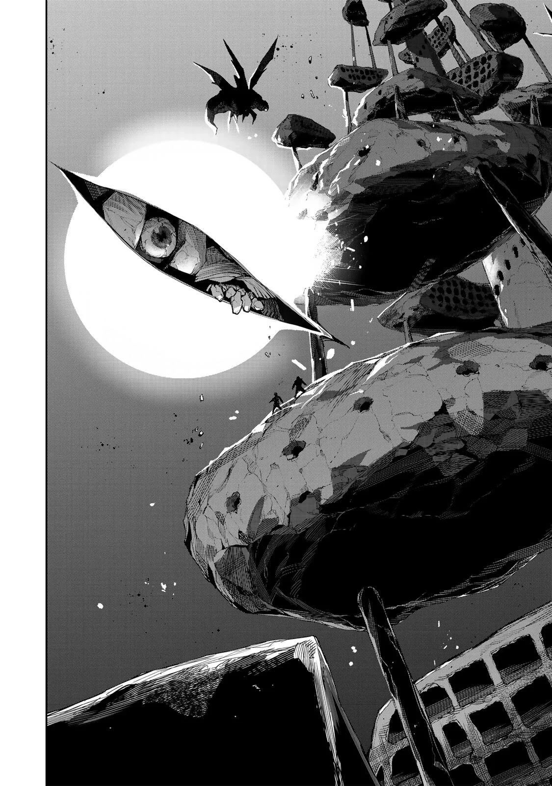 味方が弱すぎて補助魔法に徹していた宮廷魔法師、追放されて最強を目指す 第207話 - 12