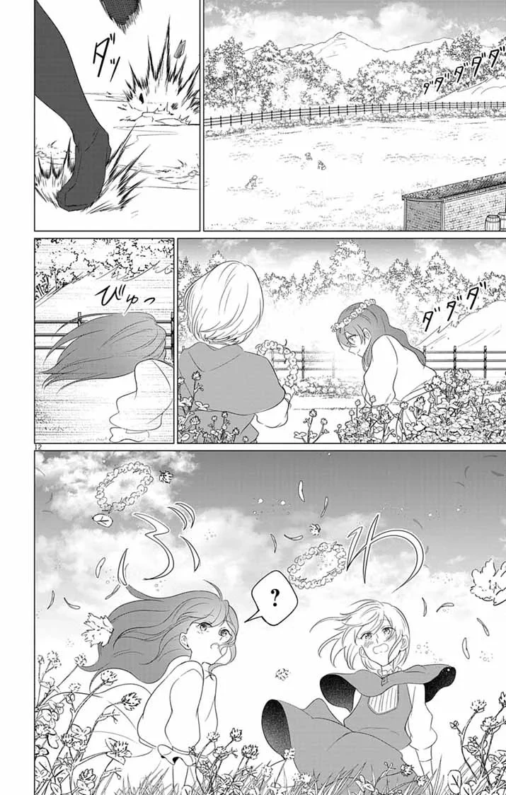 傾国の美姫はステータス変更で素手喧嘩無敗になりました 第14話 - 12