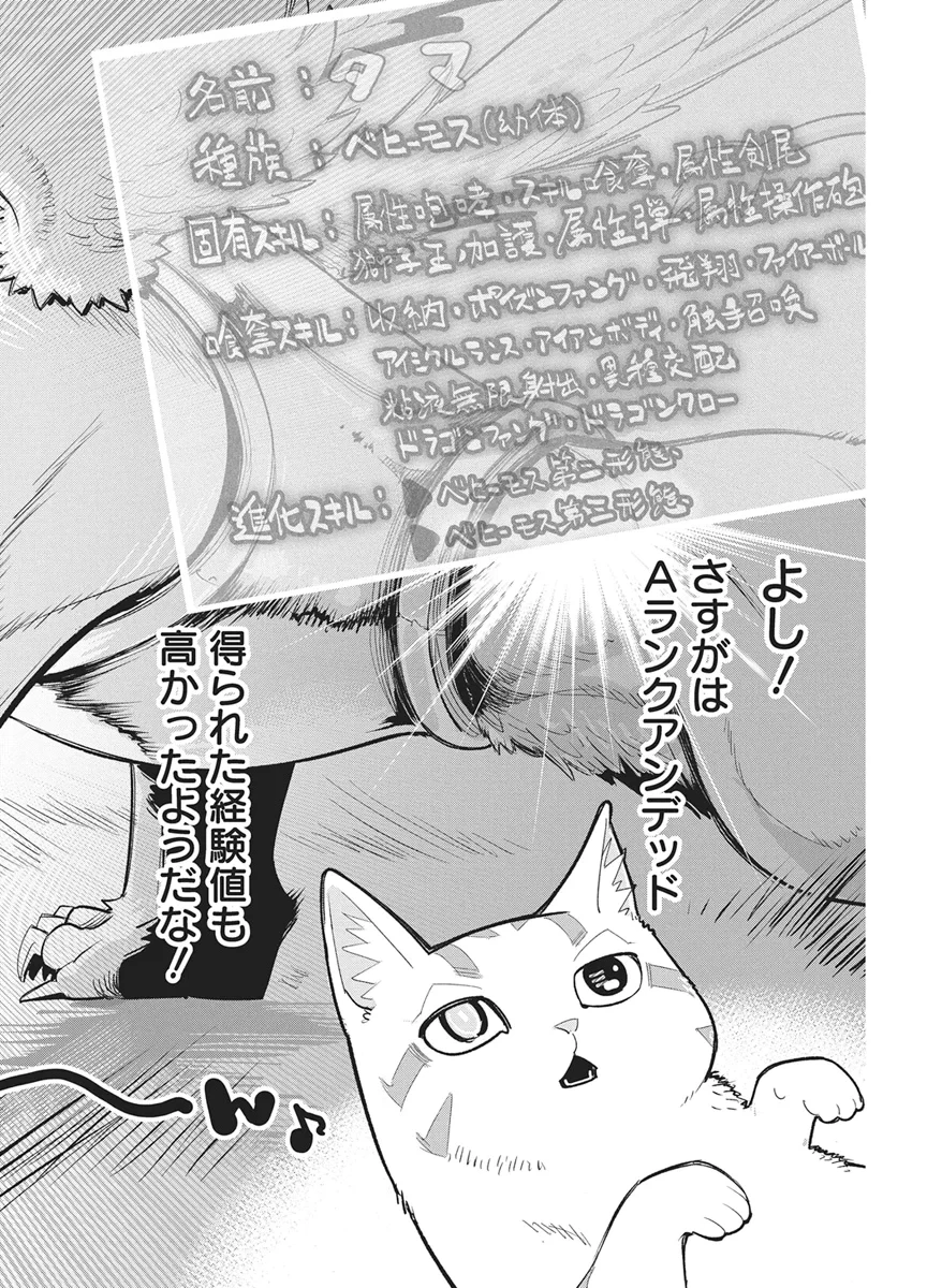 Sランクモンスターの《ベヒーモス》だけどネコと間違われてエルフ娘の騎士として暮らしています 第90話 - 2