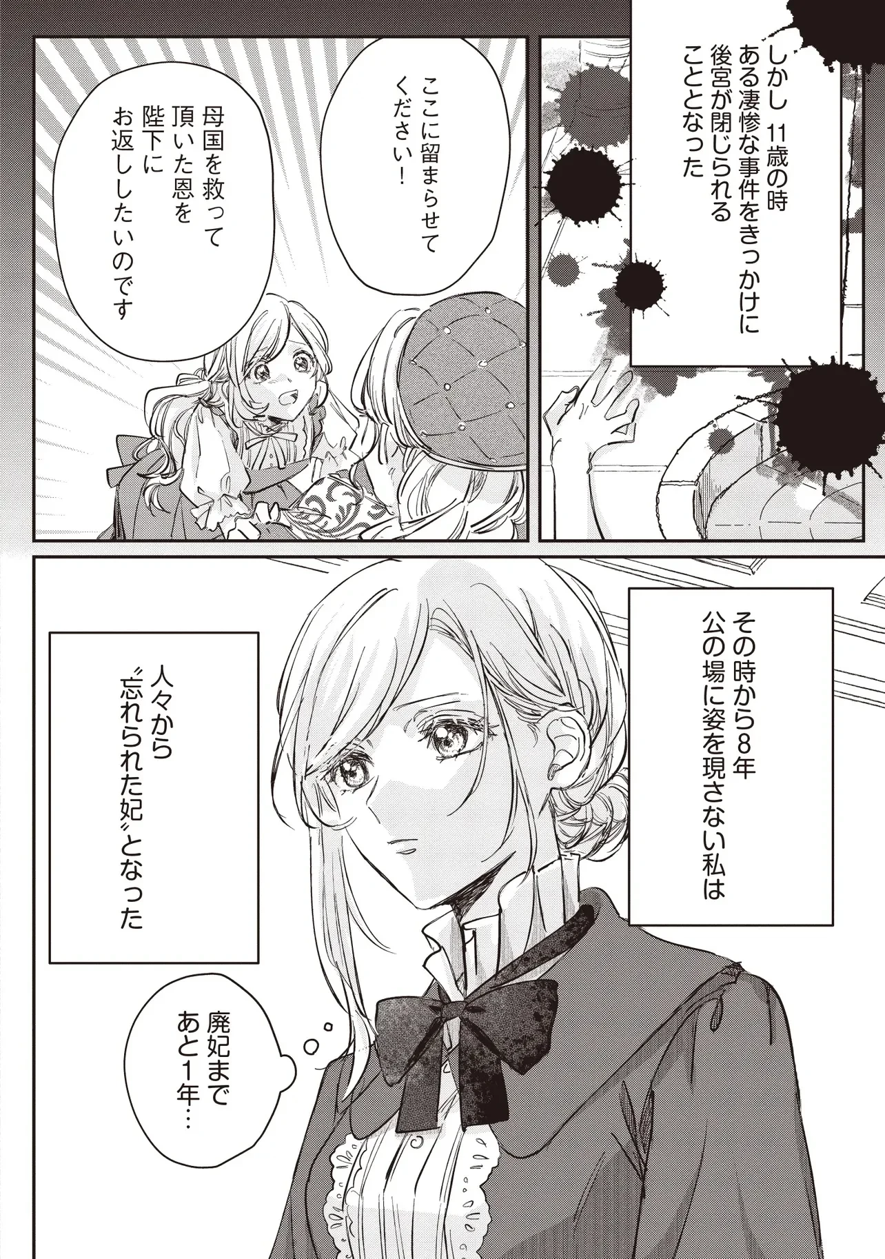 忘れられた妃ですので 初恋の旦那様に贈るしあわせな再婚 第1話 - 10