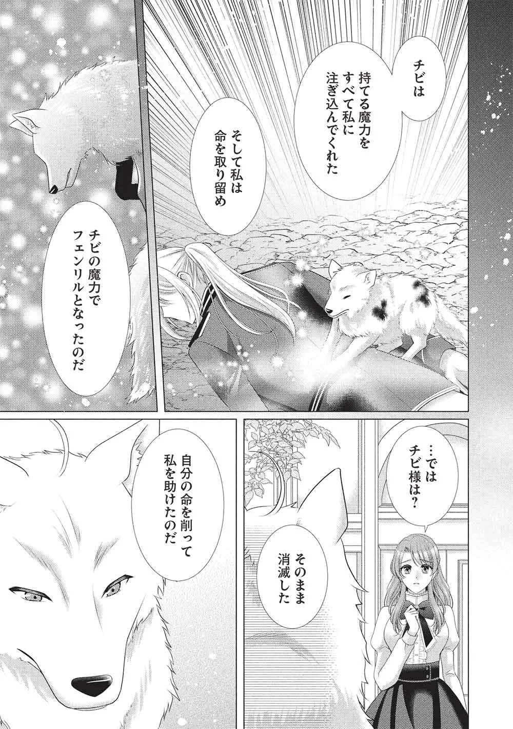 婚約破棄された追放聖女は、もふもふ公爵に愛される 第2話 - 7
