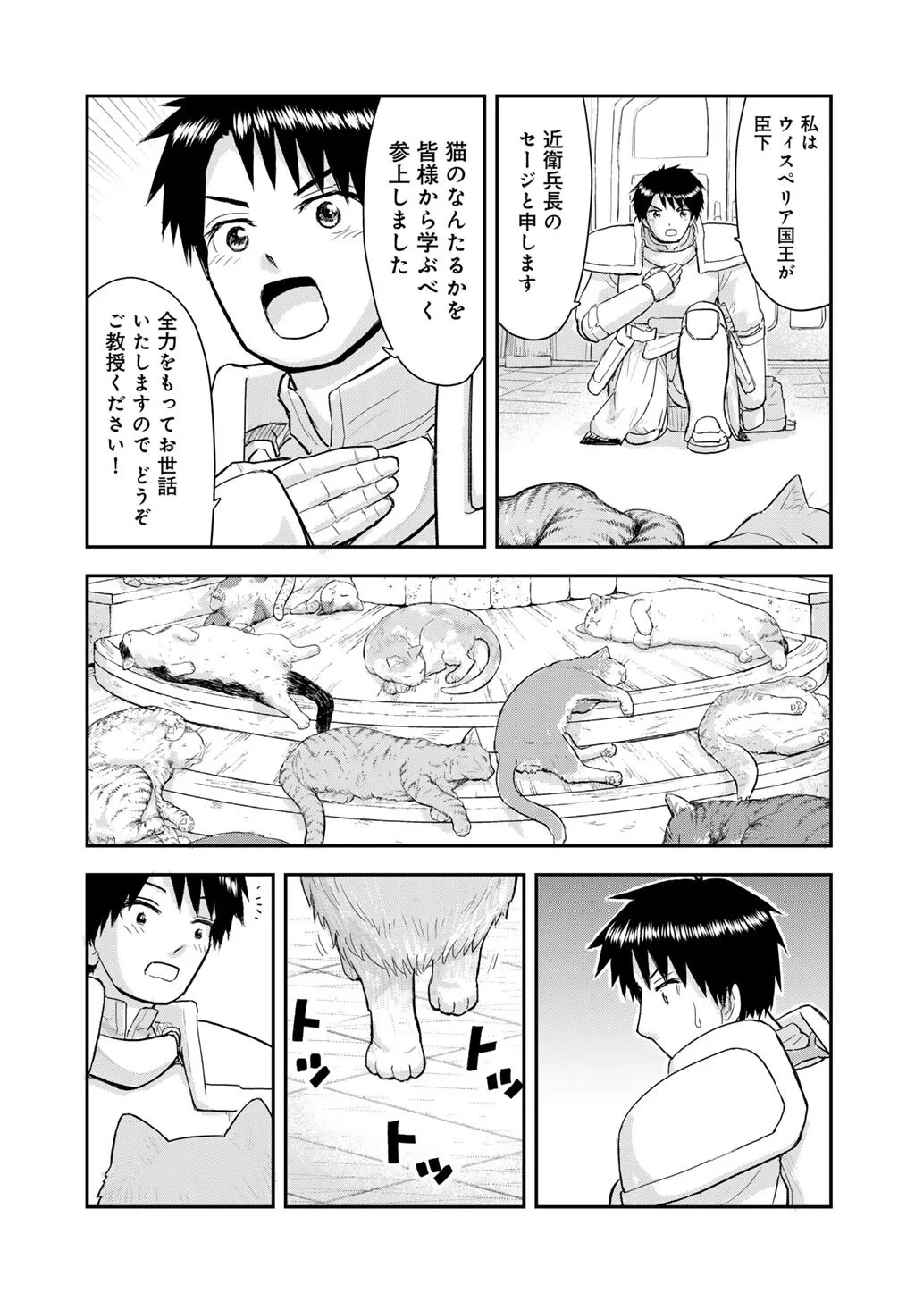 王が猫になった 第13話 - 11