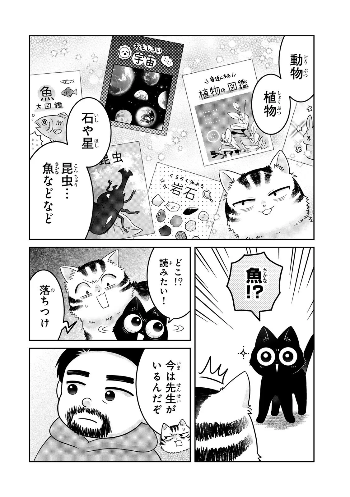 ルドルフとイッパイアッテナ 第10話 - 4