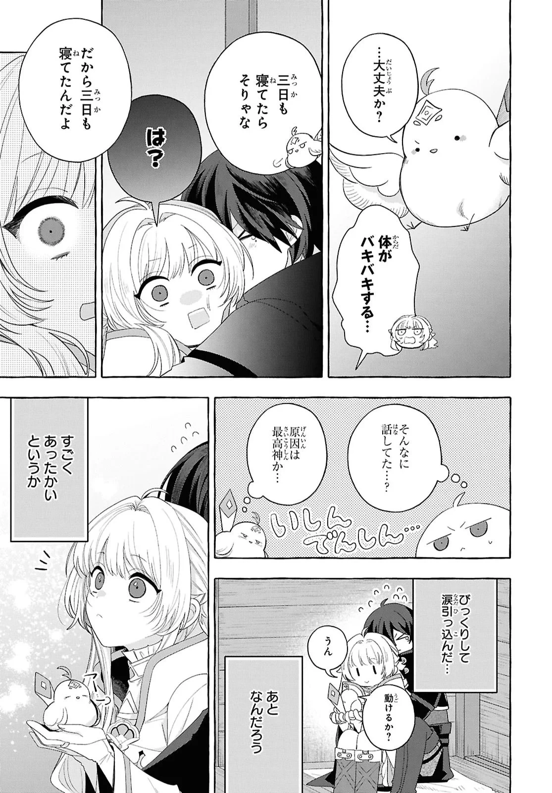 わたしの創った千年王国 天才魔導師の自由気ままな転生無双譚 第11話 - 19
