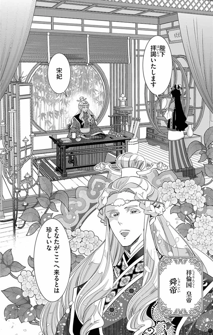 後宮の影公主～呪術師は謎を読む～ 第17話 - 10