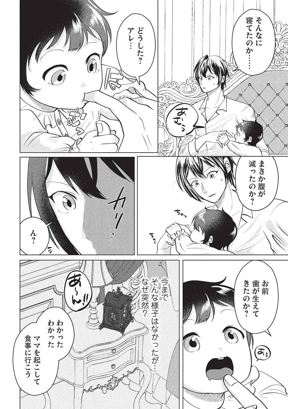 1年限りの契約婚(公爵様の溺愛付き!) ～英雄の継母になった私は、どうやら聖女の末裔のようです～ 第6話 - 12