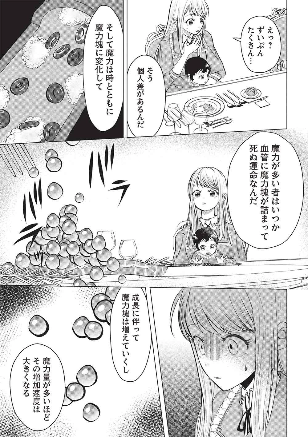 1年限りの契約婚(公爵様の溺愛付き!) ～英雄の継母になった私は、どうやら聖女の末裔のようです～ 第6話 - 17