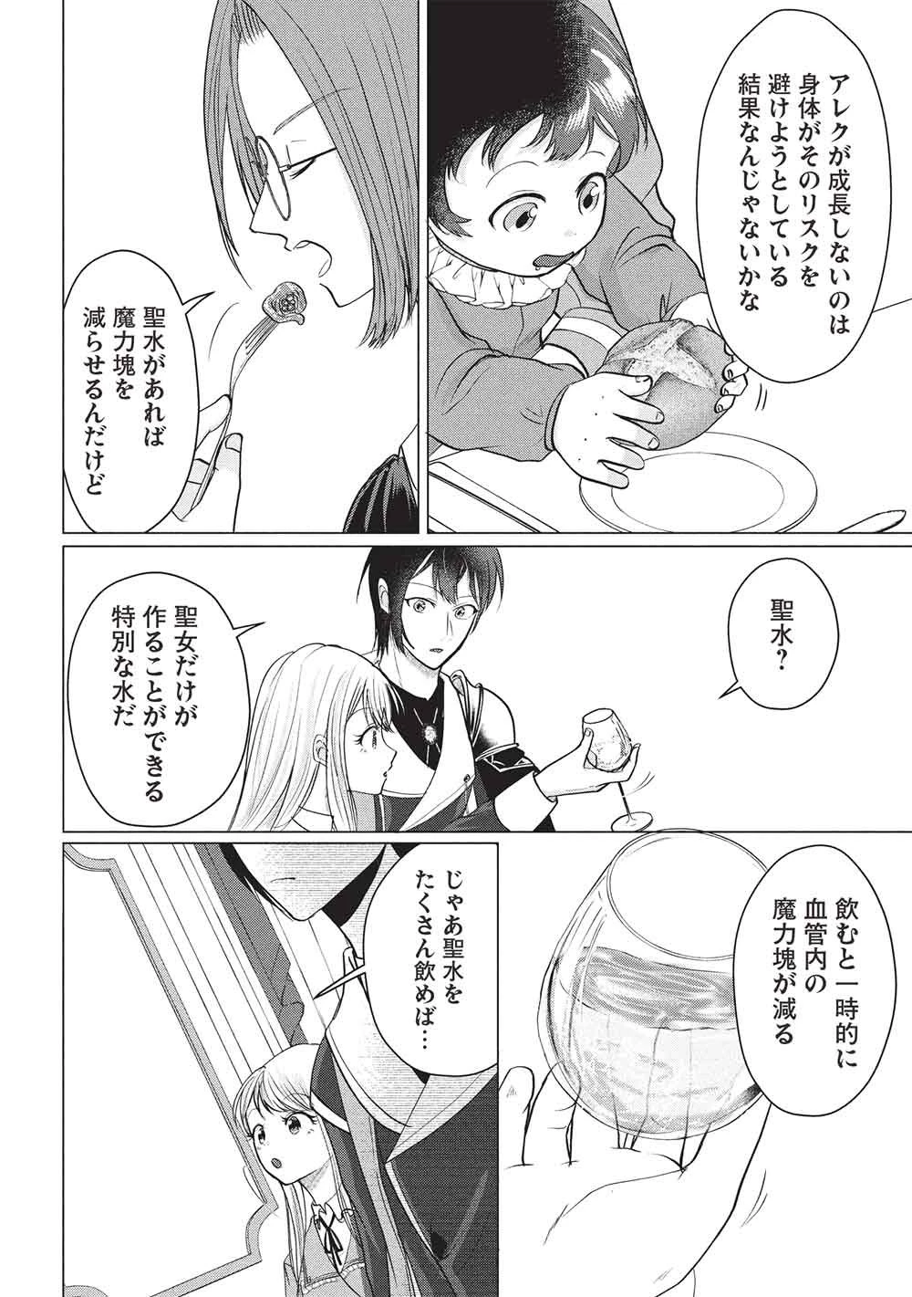 1年限りの契約婚(公爵様の溺愛付き!) ～英雄の継母になった私は、どうやら聖女の末裔のようです～ 第6話 - 18