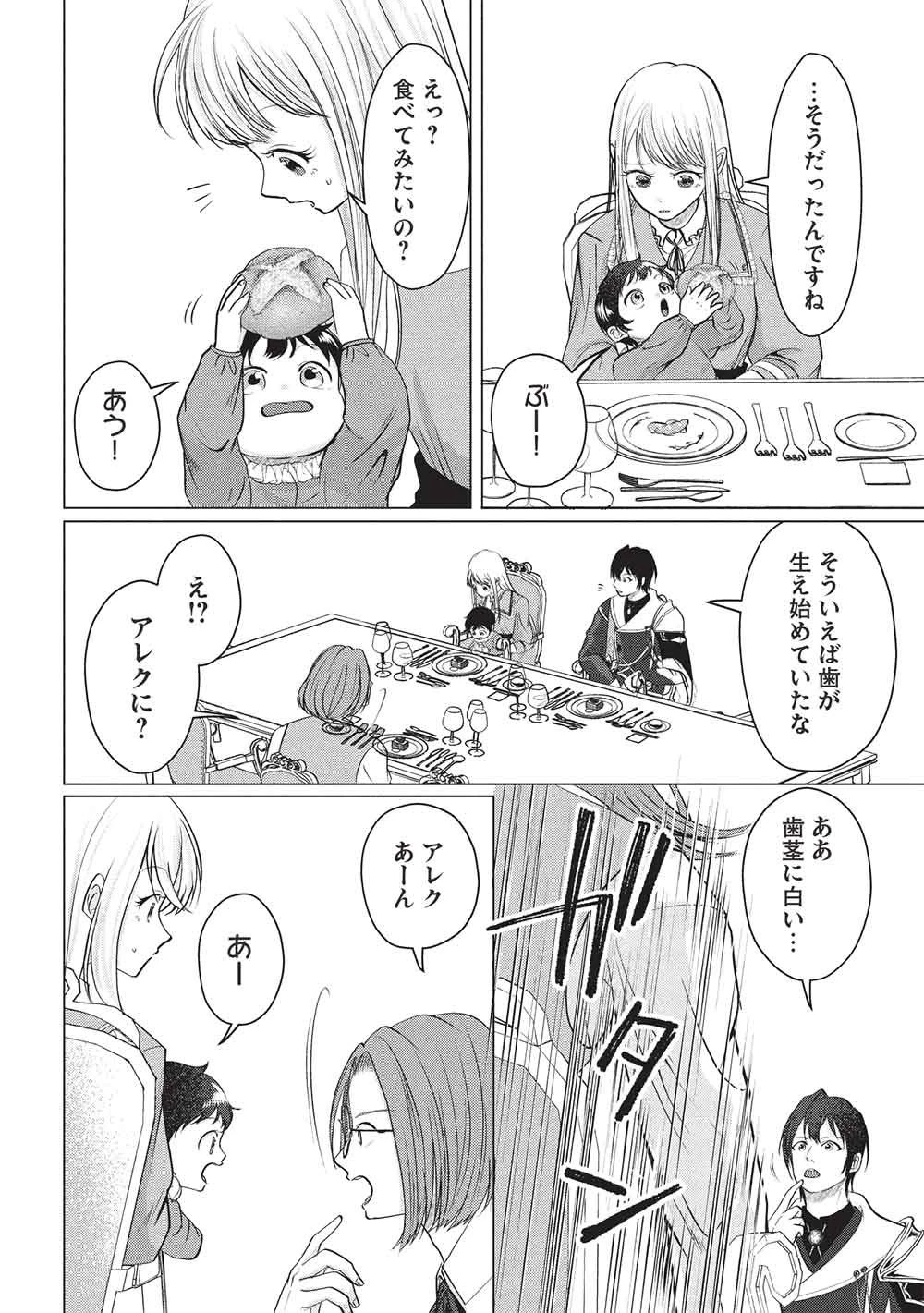 1年限りの契約婚(公爵様の溺愛付き!) ～英雄の継母になった私は、どうやら聖女の末裔のようです～ 第6話 - 20