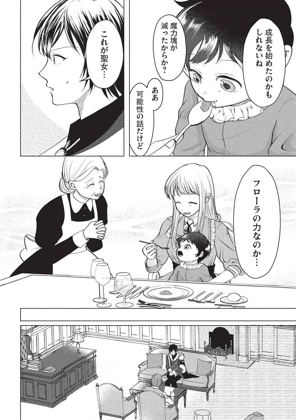 1年限りの契約婚(公爵様の溺愛付き!) ～英雄の継母になった私は、どうやら聖女の末裔のようです～ 第6話 - 22