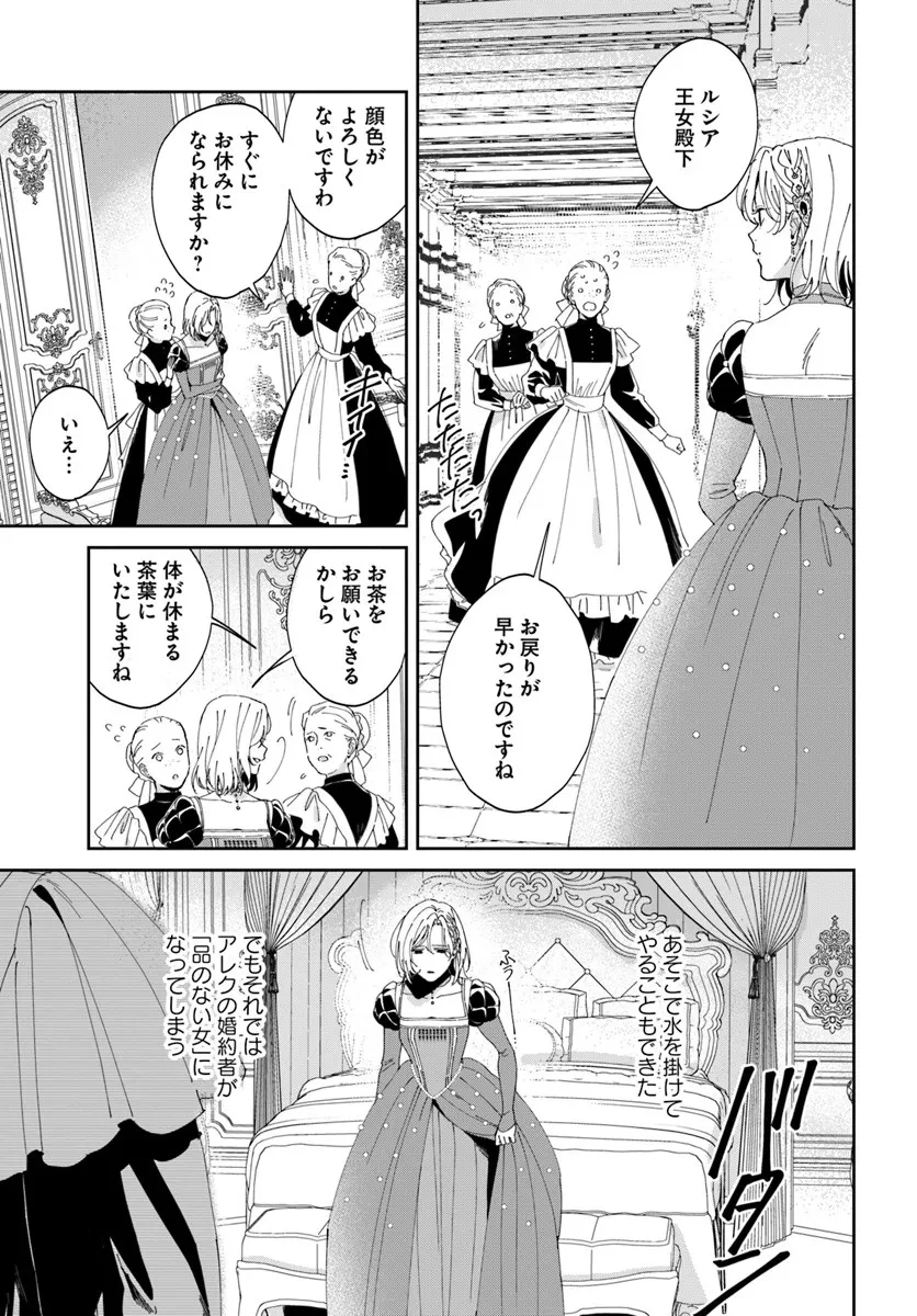 第一王女ルシアの帰還と華麗なる快進撃　海の守護騎士との出逢い 第2話 - 19