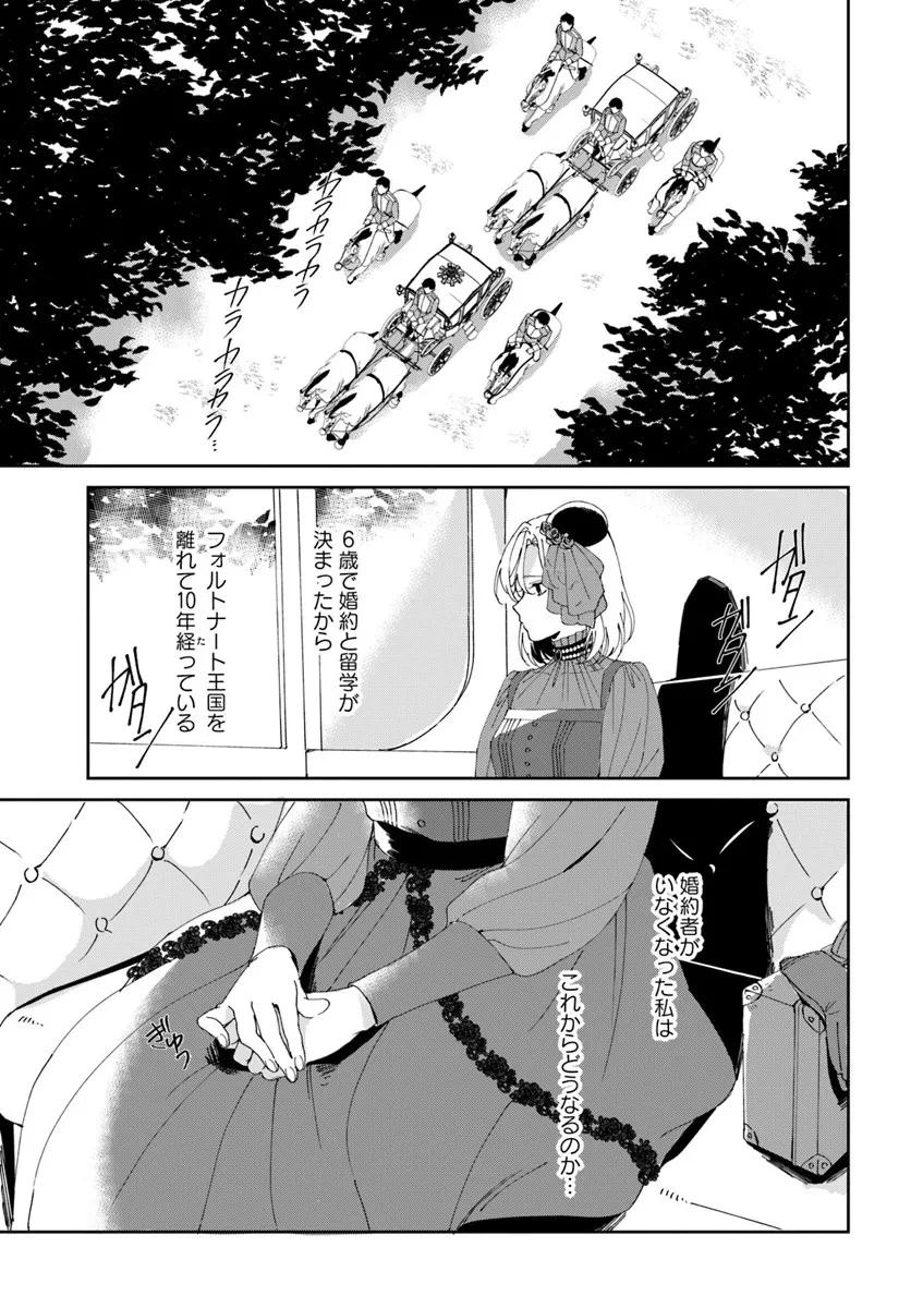 第一王女ルシアの帰還と華麗なる快進撃　海の守護騎士との出逢い 第1話 - 7