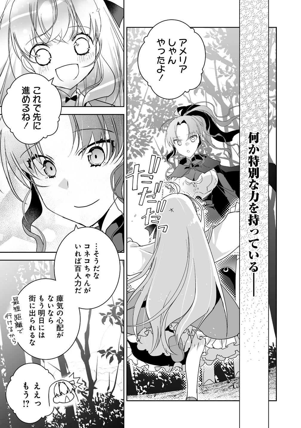 転生幼女は愛猫とのんびり旅をする 第6話 - 13