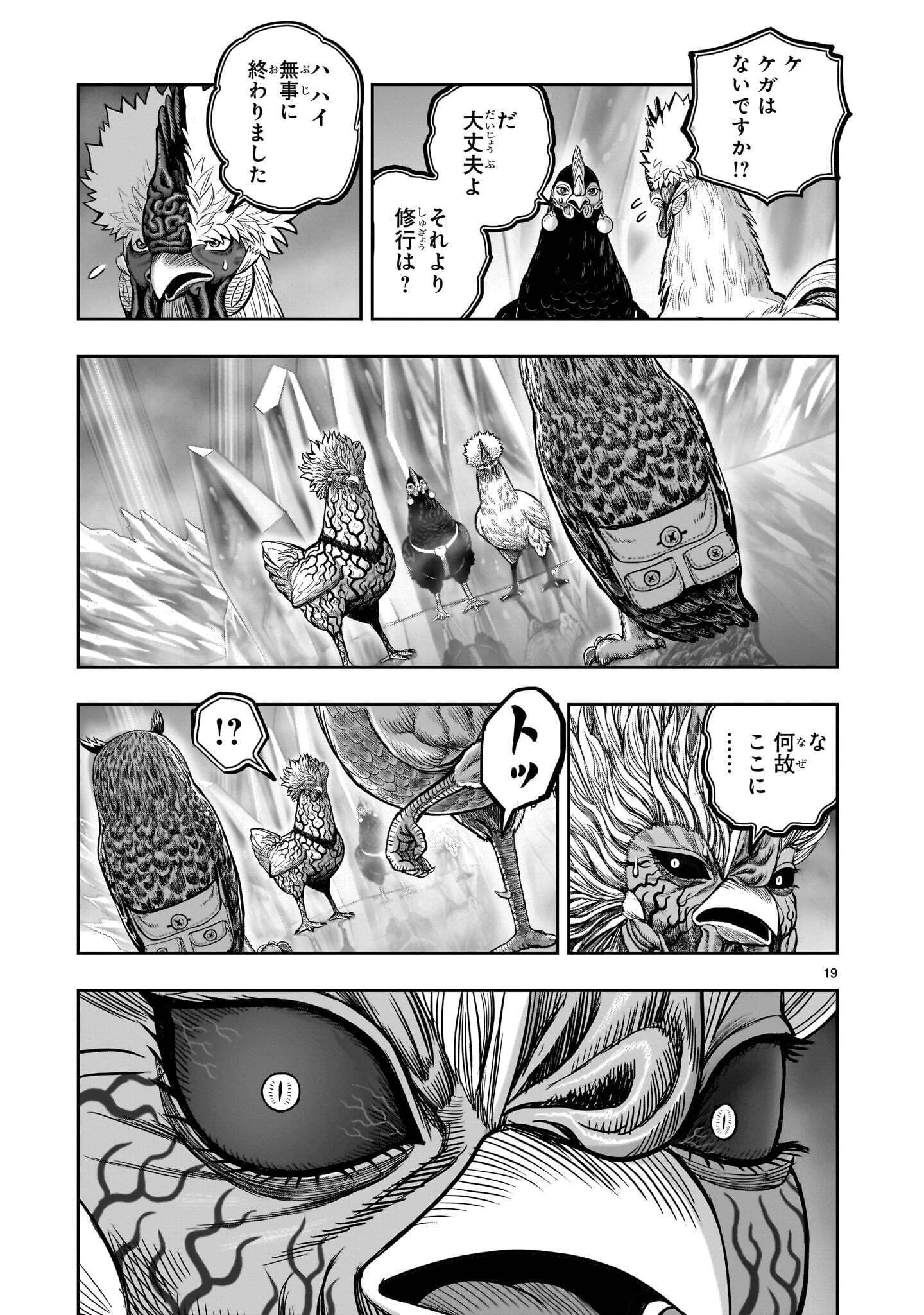 ニワトリ・ファイター 第61話 - 19