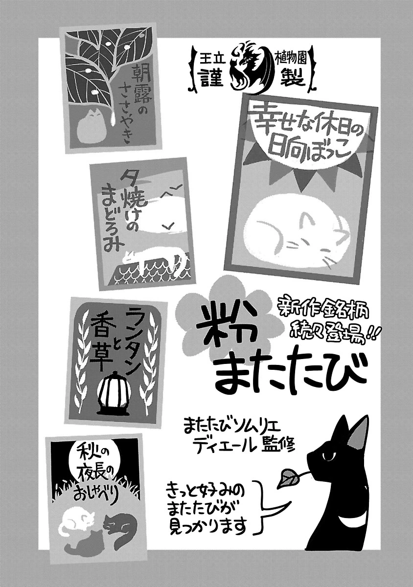 猫と竜 第58話 - 33