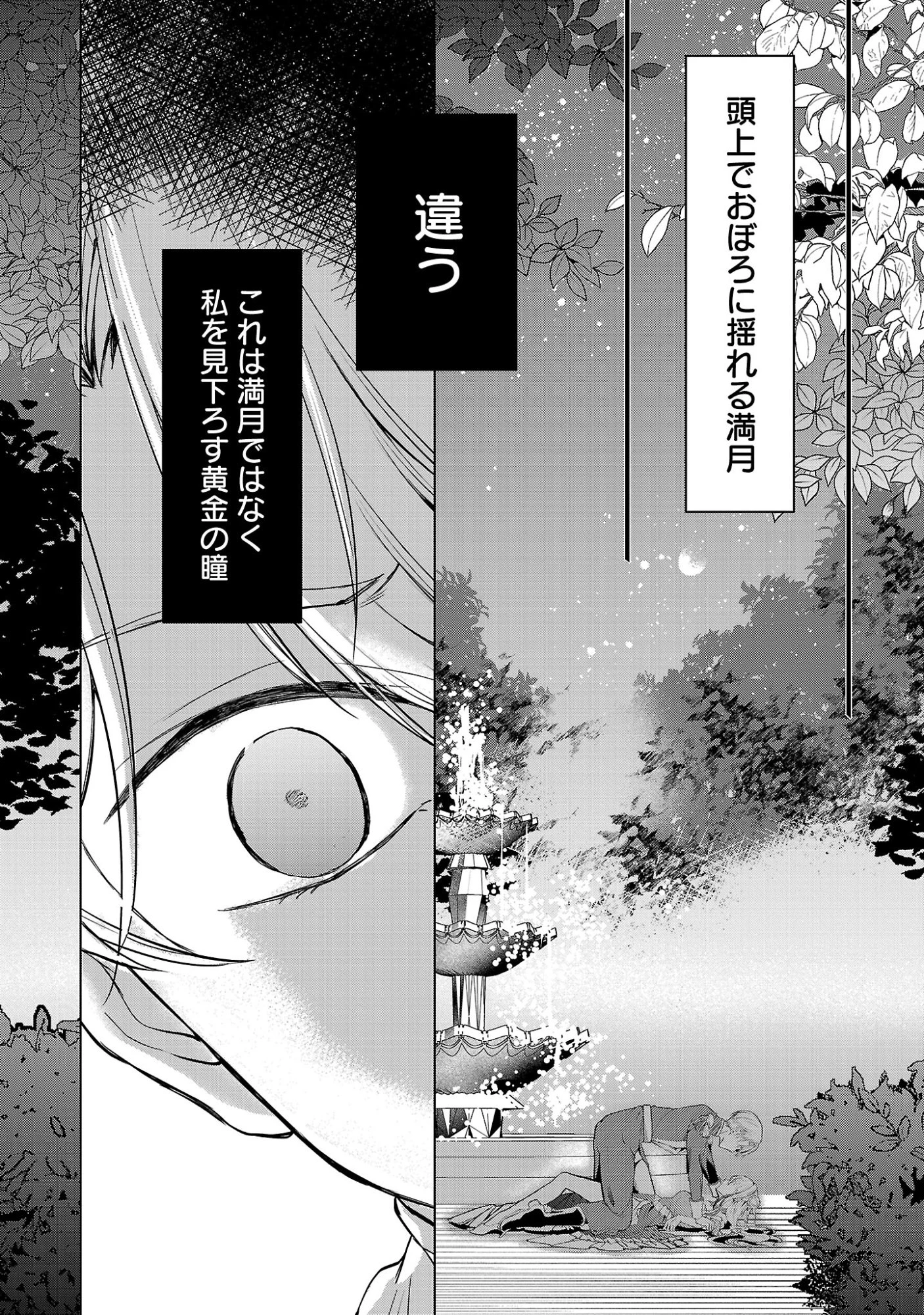 推しの妹に転生してしまったので、 最凶の悪女になってお兄様を独占することにいたします 第20話 - 6