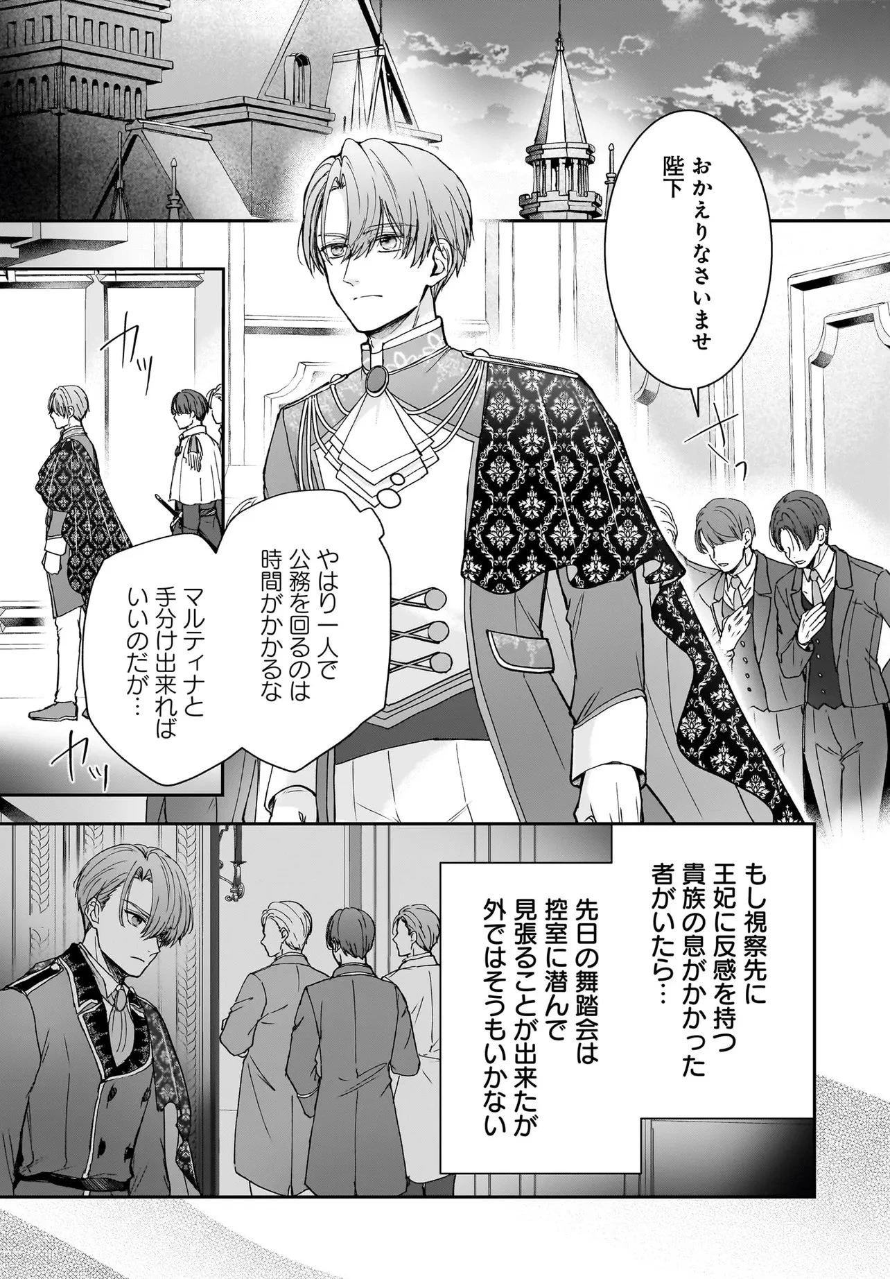職業王妃ですので王の溺愛はご遠慮願います 第5話 - 5