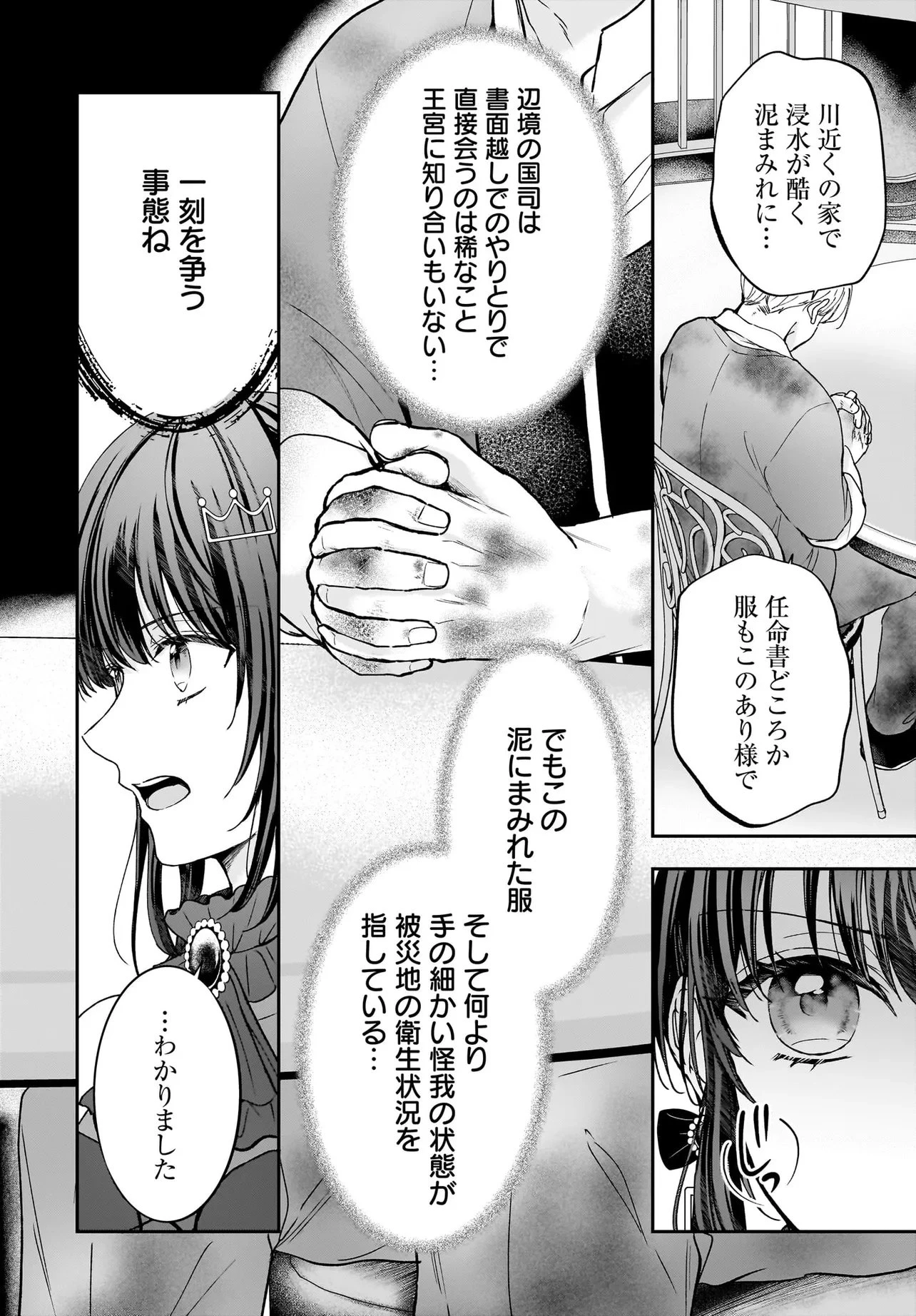 職業王妃ですので王の溺愛はご遠慮願います 第5話 - 12