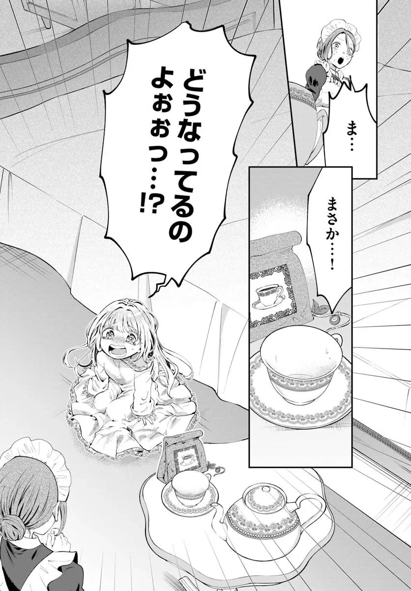 隠し子?いいえ、妻です!～旦那様、その過保護な執愛はちょっと誤解を招くと思うの～ 第1話 - 48