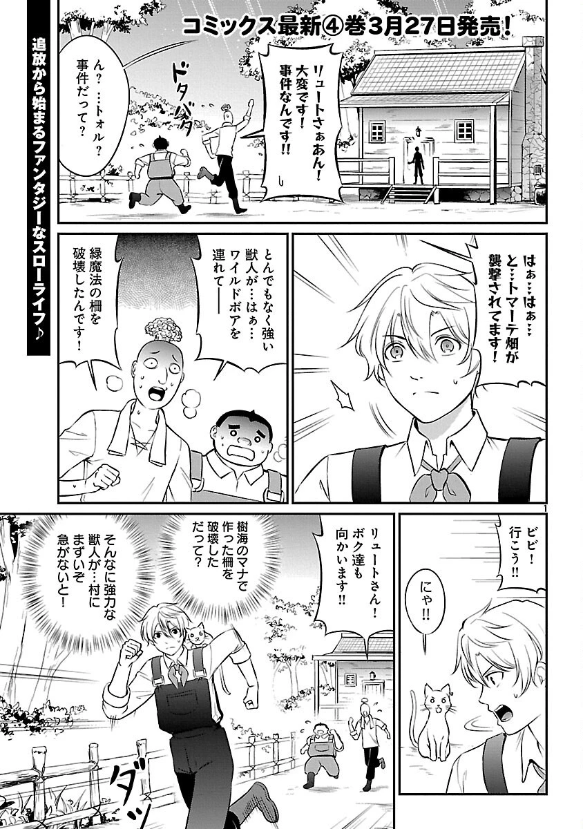 悠優の追放魔法使いと幼なじみな森の女神様。～王都では最弱認定の緑魔法ですが、故郷の農村に帰ると万能でした～ 第27話 - 3