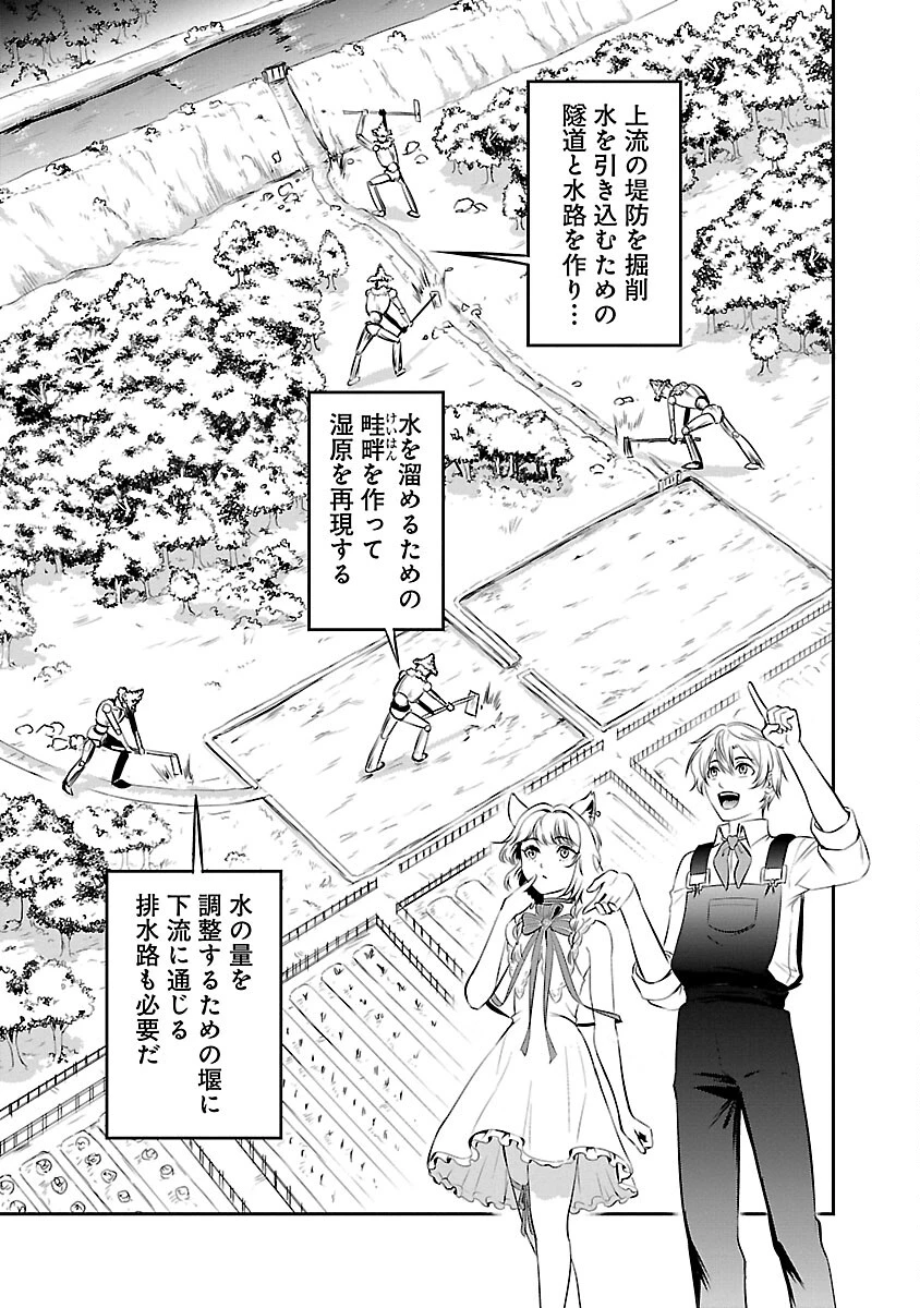 悠優の追放魔法使いと幼なじみな森の女神様。～王都では最弱認定の緑魔法ですが、故郷の農村に帰ると万能でした～ 第16話 - 17