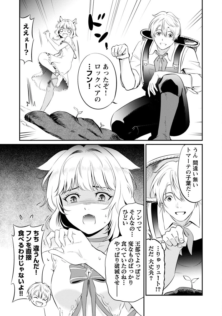 悠優の追放魔法使いと幼なじみな森の女神様。～王都では最弱認定の緑魔法ですが、故郷の農村に帰ると万能でした～ 第6話 - 20