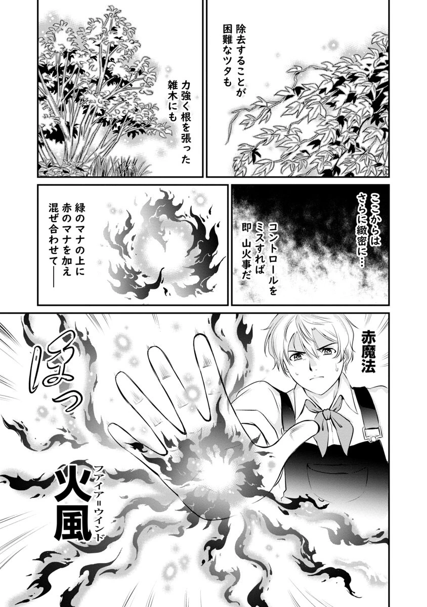 悠優の追放魔法使いと幼なじみな森の女神様。～王都では最弱認定の緑魔法ですが、故郷の農村に帰ると万能でした～ 第5話 - 20