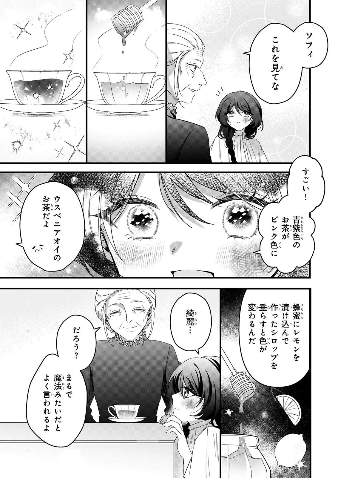 私の魔法使い 虐げられた少女は美しき王弟殿下に見初められる 第4話 - 34