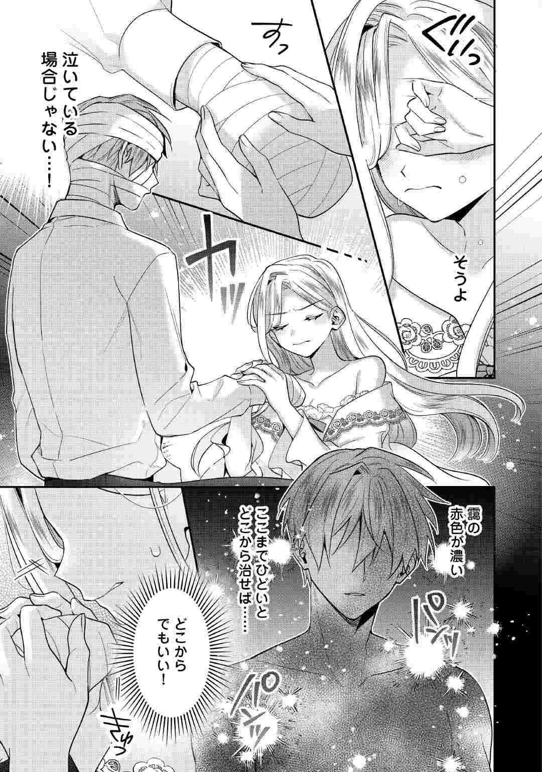 重婚なんてお断り! 絶対に双子の王子を見分けてみせます! 第16話 - 3